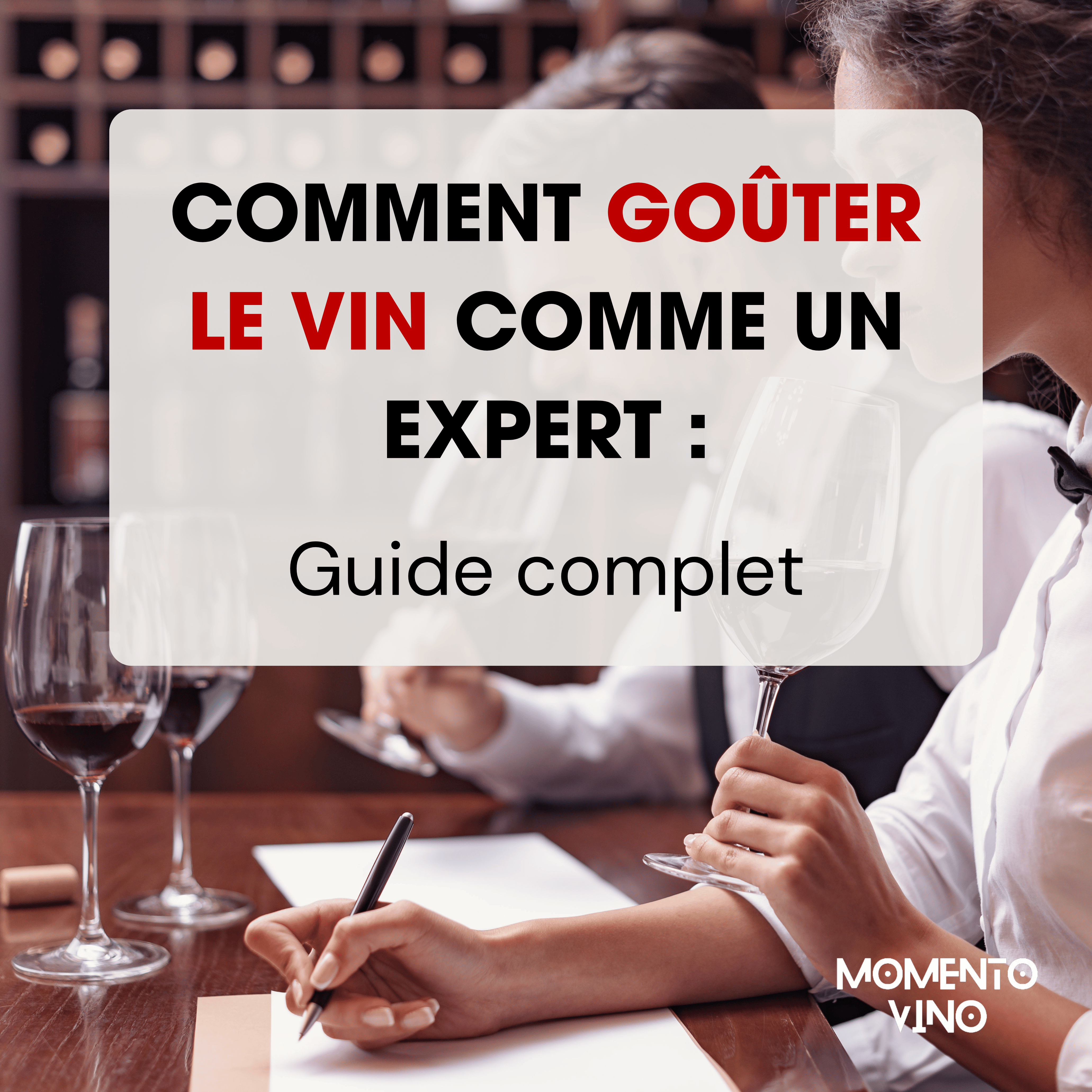 Comment goûter le vin comme un expert : guide complet - Momento Vino | Solutions pour le stockage du vin