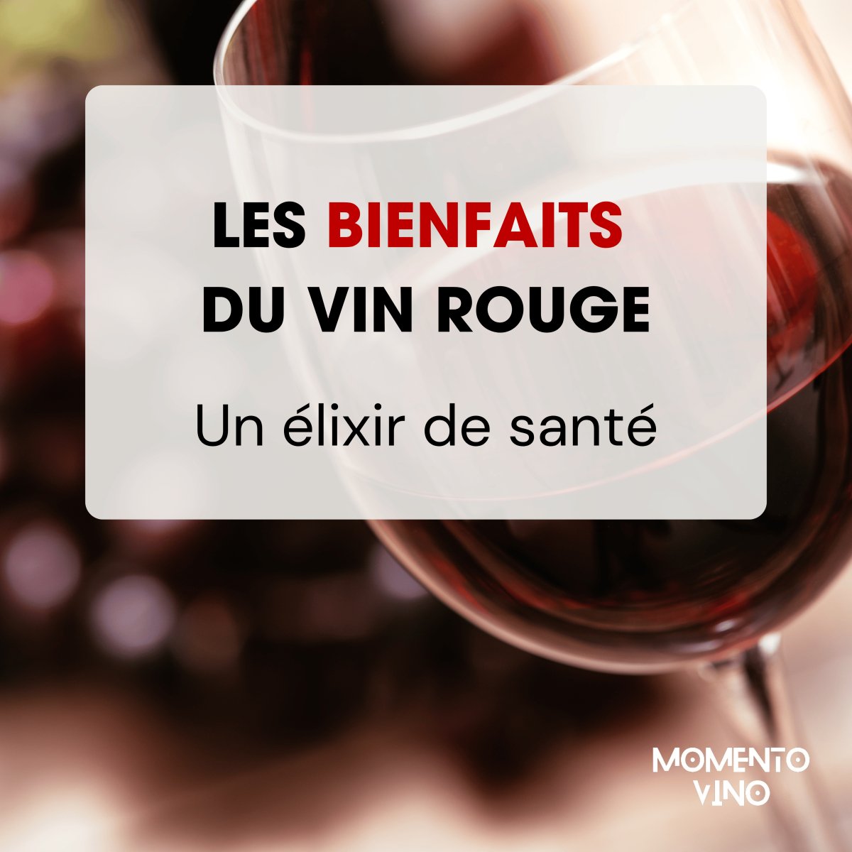 Les bienfaits du vin rouge : un élixir de santé et de plaisir à savourer - Momento Vino