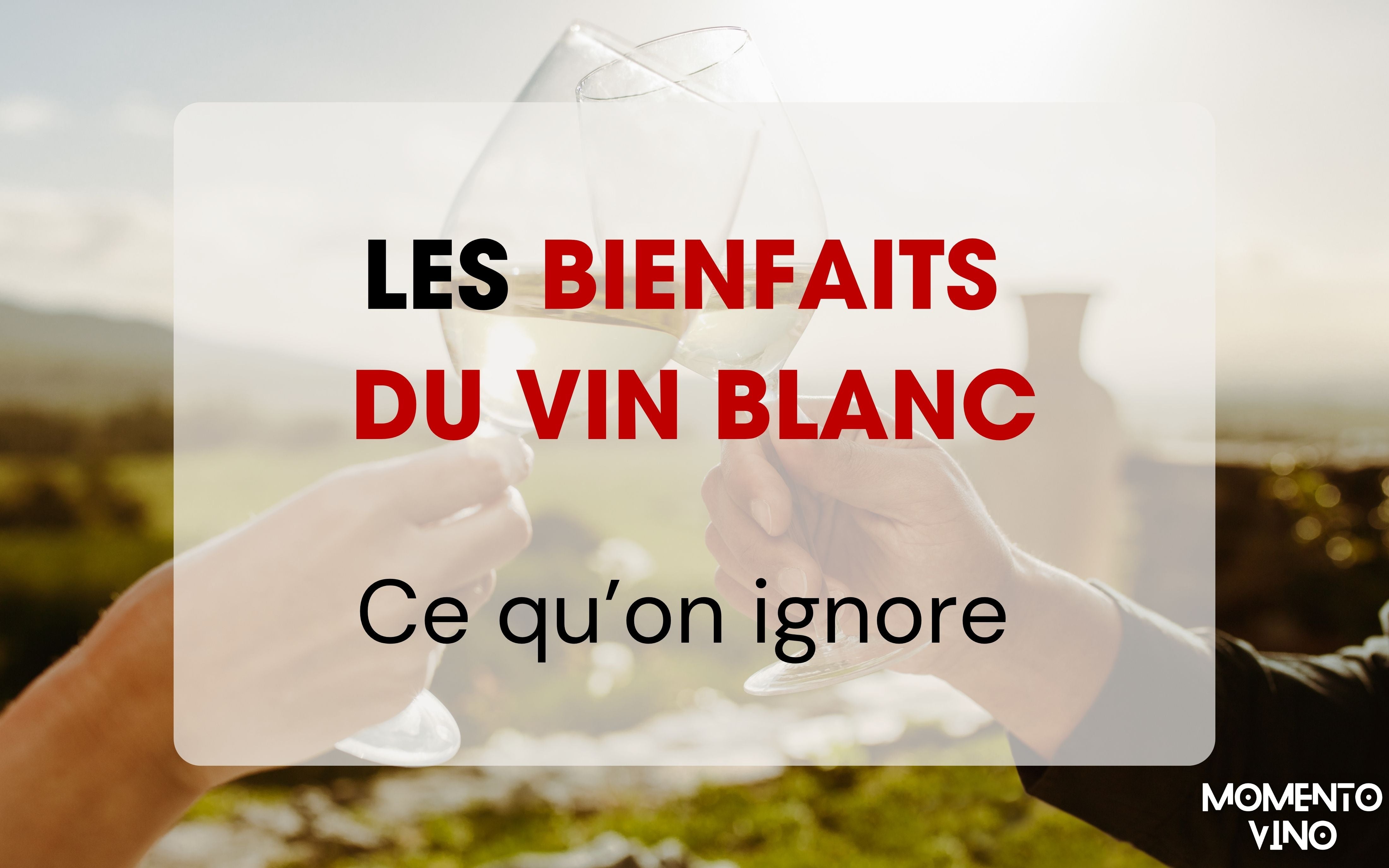 Les bienfaits du vin blanc : un trésor de saveurs et de santé à découvrir - Momento Vino