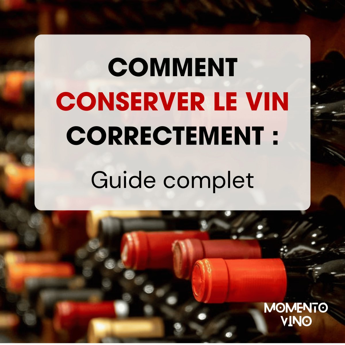 Comment conserver le vin correctement : guide complet - Momento Vino | Solutions pour le stockage du vin